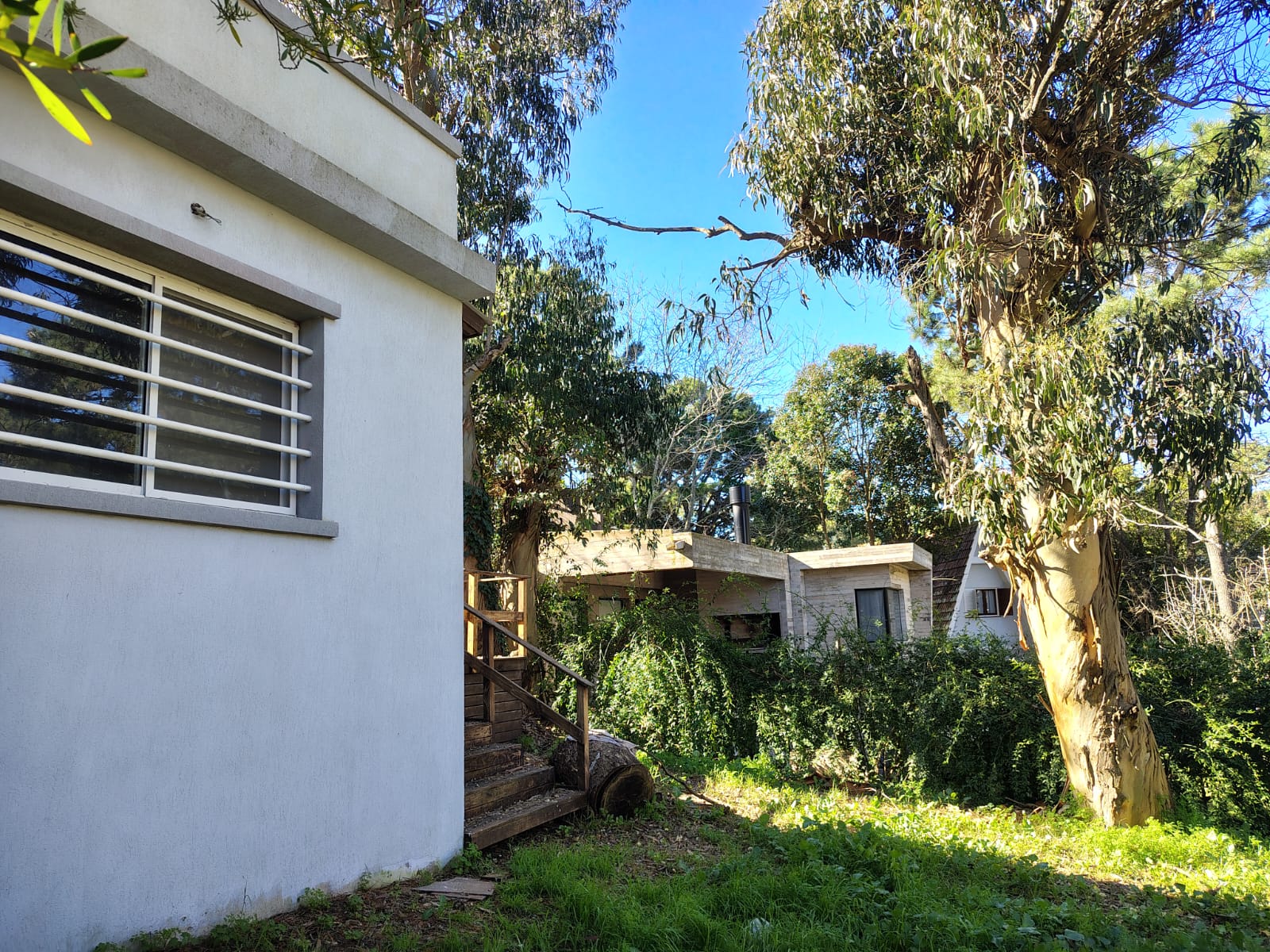 WhatsApp Image 2025-07-18 at 17.08.58 1.jpeg